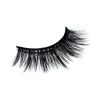 The Twinkling lash
